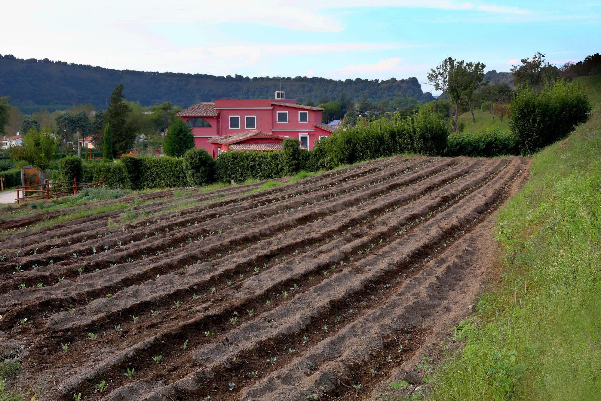 Agriturismo San Martino Pozzuoli Kültér fotó