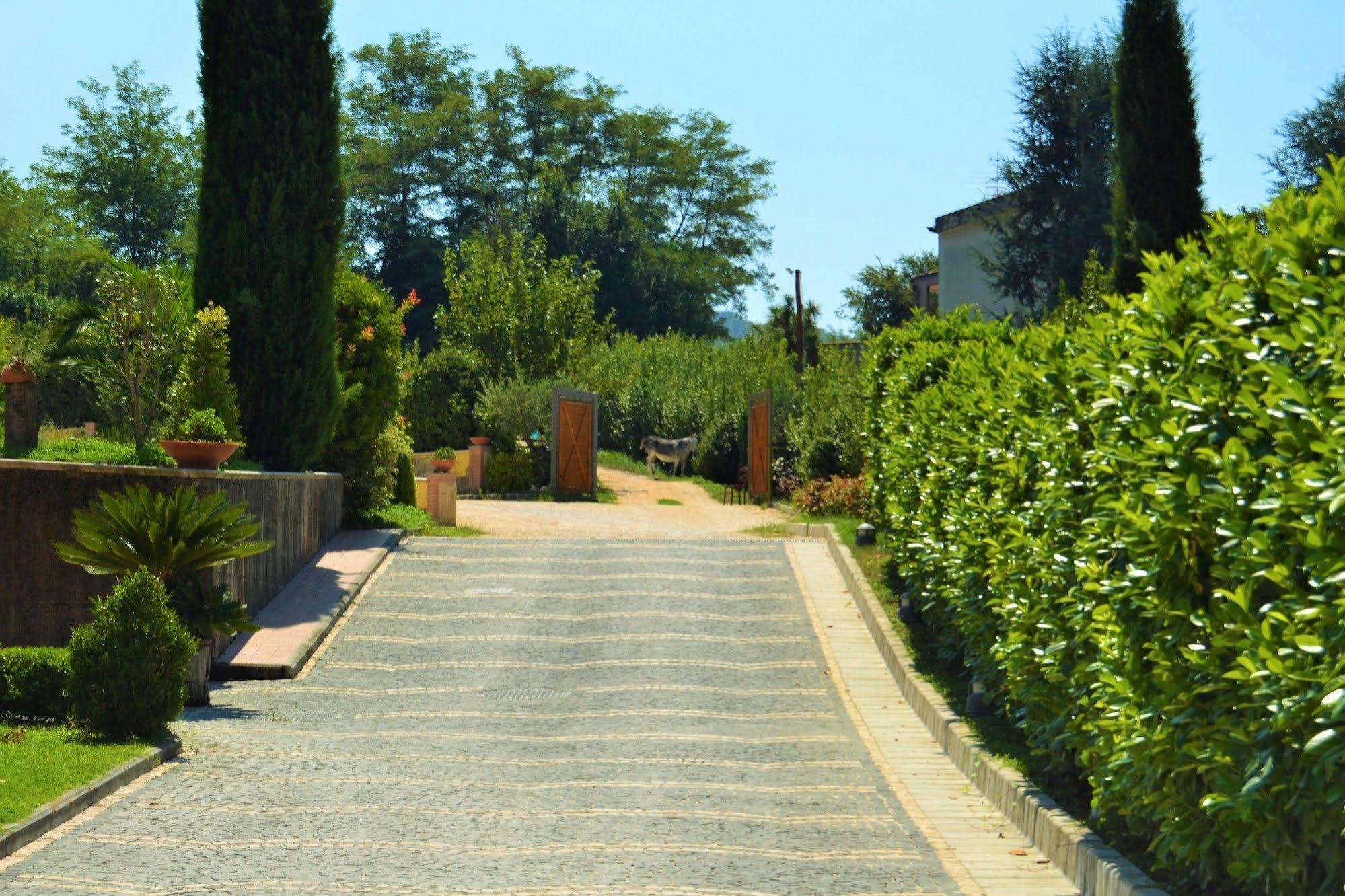 Agriturismo San Martino Pozzuoli Kültér fotó